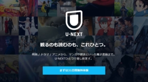 U-NEXTを使ってみた感想レビュー！1200ポイントをどう捉えるかどうかが”ポイント”